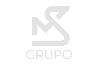 grupo ms logo branco
